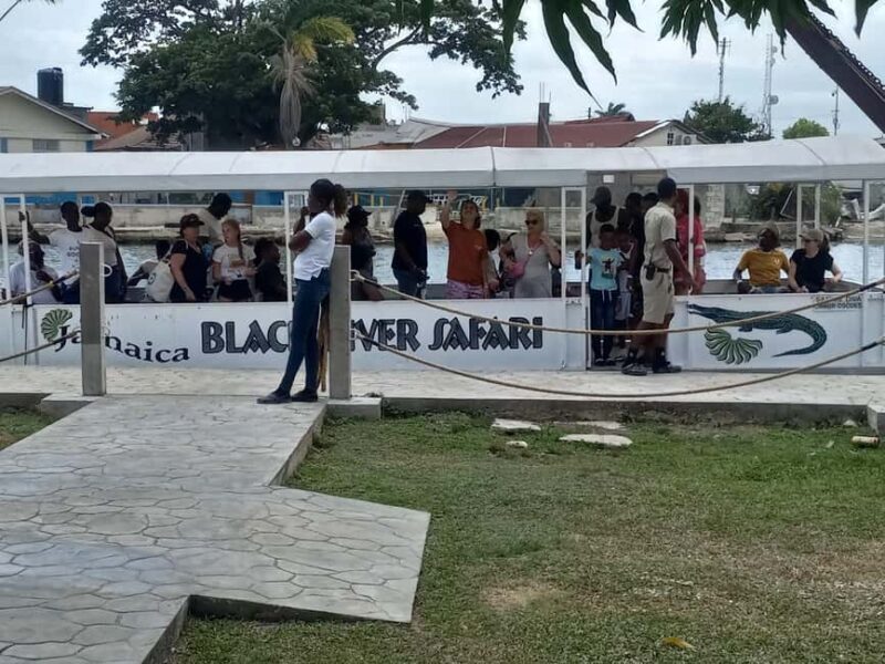Jamaica: Black River Safari Guided Tour and YS Falls Tour - Key Points
