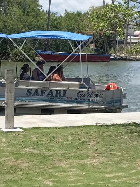 Jamaica: Black River Safari Guided Tour and YS Falls Tour - The Value and Who It’s Best For