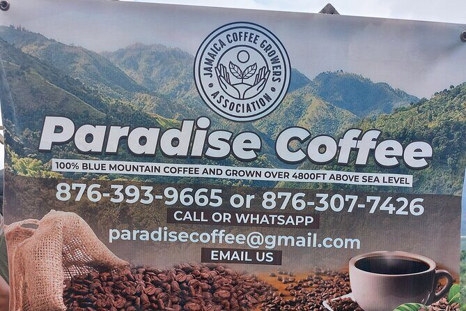 Jamaica Blue Mountain Coffee Tour and sightseeing experience - Final Thoughts