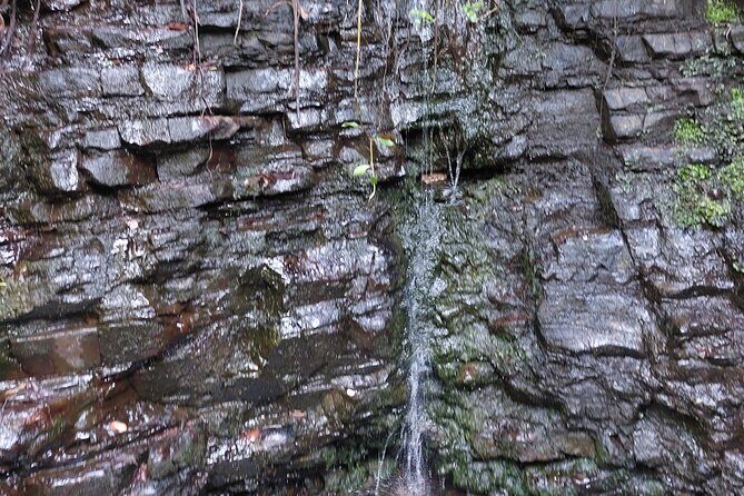 Jamaica Blue Mountain Coffee Tour and sightseeing experience - Frequently Asked Questions