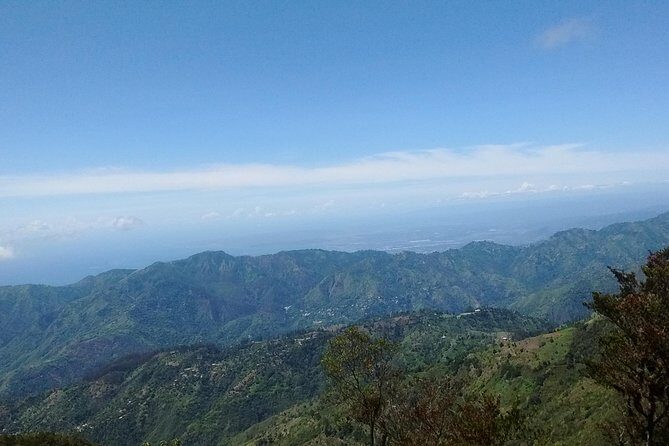 Jamaica Blue Mountain Guided Nature Tour - Introduction to the Blue Mountain Guided Nature Tour