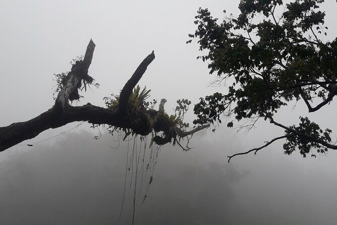 Jamaica Blue Mountain Guided Nature Tour - FAQ