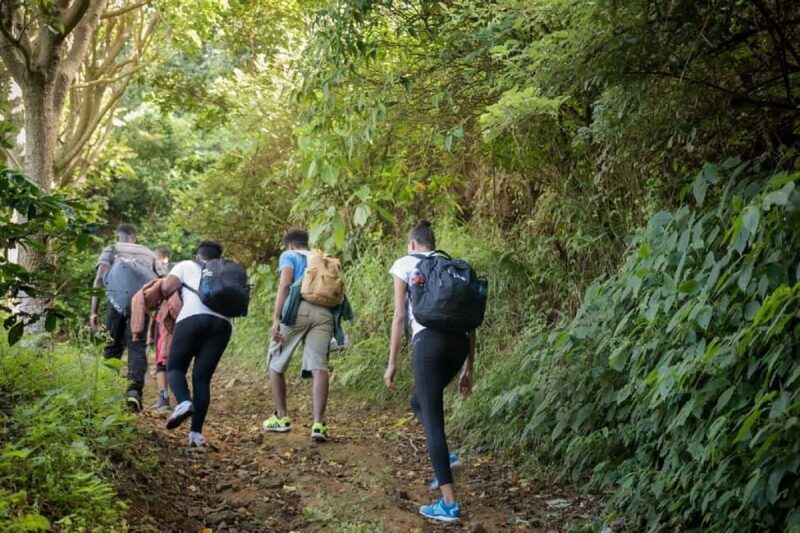 Jamaica: Blue Mountain Peak Hiking Tour - Logistics and Practicalities