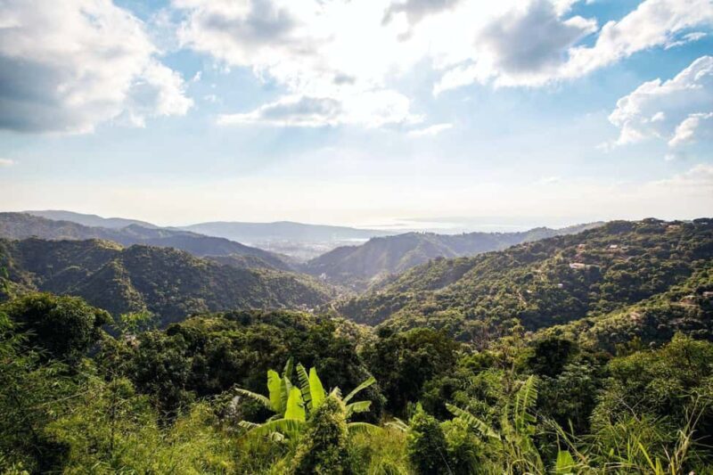 Jamaica: Blue Mountains Full Day Tour with Brunch & Lunch - Exploring the Blue Mountains: A Natural and Cultural Sanctuary