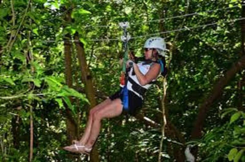 Jamaica Bobsled and Zip Line Adventure Tour - A Detailed Look at the Tour Experience