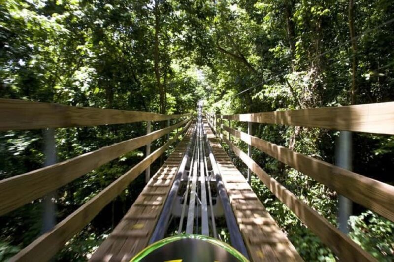 Jamaica Bobsled and Zip Line Adventure Tour - Authentic Experiences and Genuine Impressions