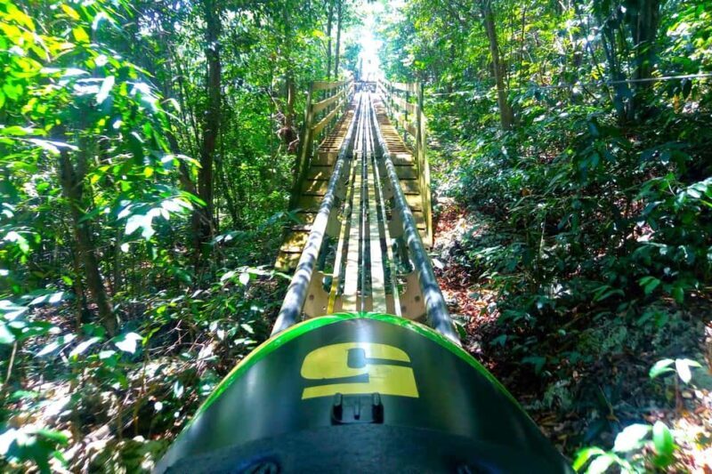 Jamaica Bobsled & Zipline (Mystic Gold) from Montego Bay - Key Points