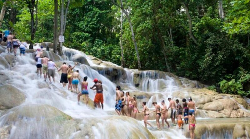 Jamaica: Dunns River Falls and Jungle River Tubing Tour - What to Expect from the Tour