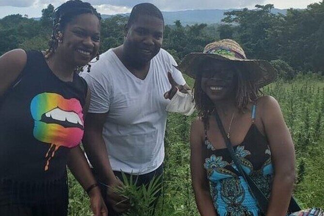 Jamaica Farm Private Dispensary Tour Montego Bay - A Close Look at the Itinerary: What You’ll Actually Do