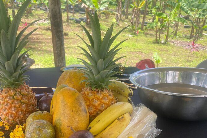 Jamaica Farm Private Dispensary Tour Montego Bay - FAQ Section