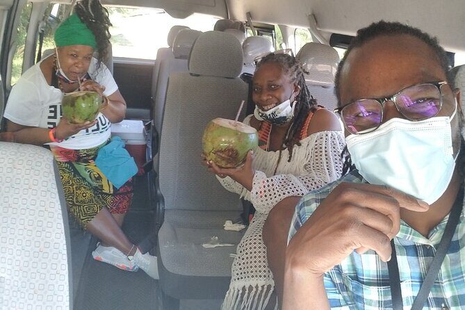 Jamaica Foodie and Cultural Experience & Konoko Falls Ocho Rios - Who Should Book This Tour?