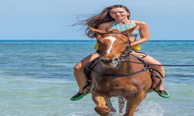 Jamaica: Private Horseback Ride and Swim in the Sea - Practical Details and What to Prepare