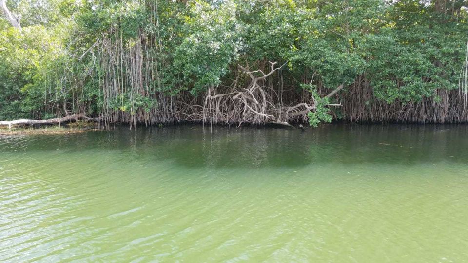 Jamaica: YS Falls and Black River Safari Day Tour - YS Falls Experience