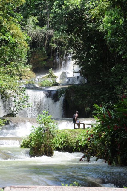 Jamaica: YS Falls and Black River Safari Day Tour - Native Wildlife Sightings