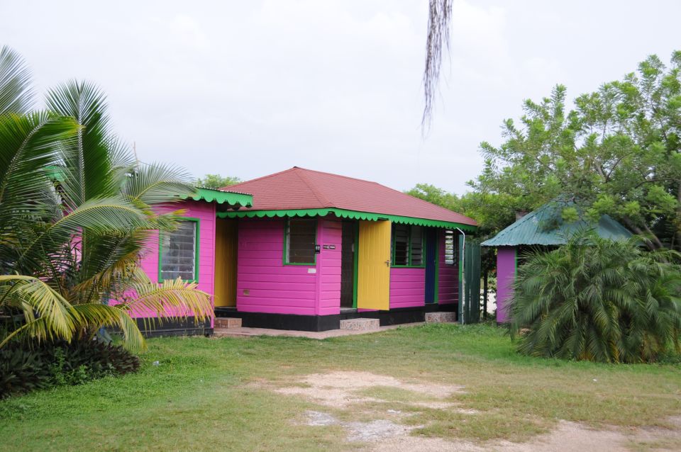 Jamaica: YS Falls and Black River Safari Day Tour - Transportation and Scenic Drive