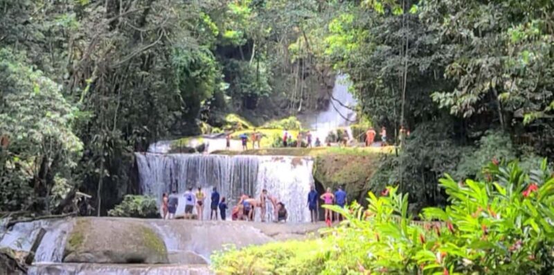 Jamaica: YS Falls and Black River Safari Tour - Transportation and Group Size