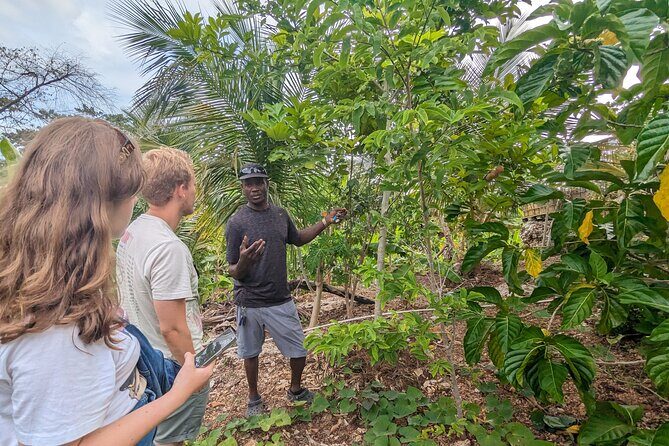 Jamaican Roots Tropical Farm Tour - Taste & Explore (Negril) 2hr - What You Can Expect on the Tour