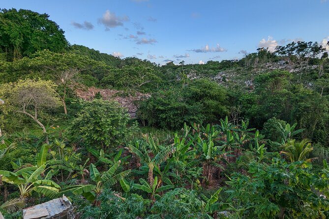 Jamaican Roots Tropical Farm Tour - Taste & Explore (Negril) 2hr - Authenticity and Overall Value