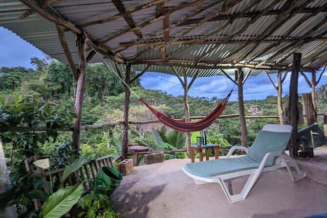 Jamaican Roots Tropical Farm Tour - Taste & Explore (Negril) 2hr - Who Will Love This Tour?