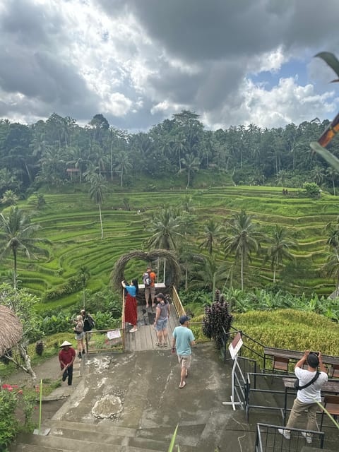 Jambangan Balitour - Frequently Asked Questions