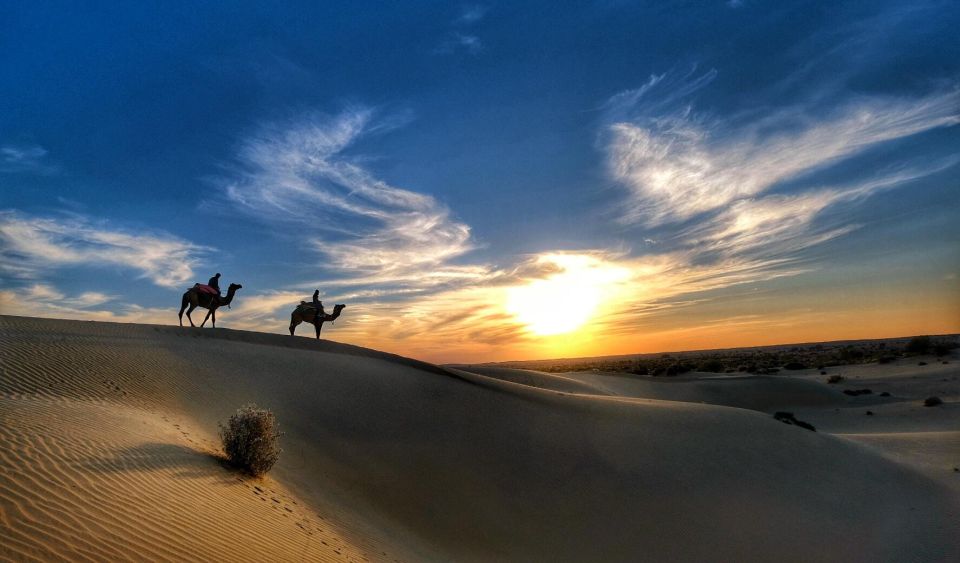 James Desert Experience - Activities and Attractions