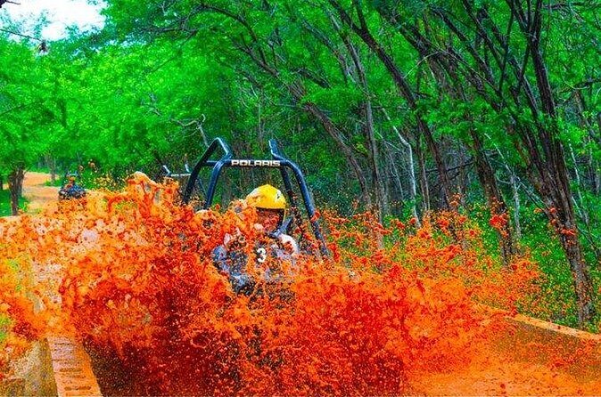 Jamwest Off-Road ATV Adventure & JamCulture Tour Combo in Negril - Who Will Enjoy This Experience?