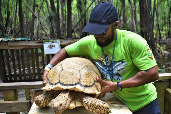 Jamwest Off-Road ATV Adventure & JamCulture Tour Combo in Negril - FAQs