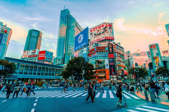 Japan Autumn & Winter Illuminations Discovery Tour (12 Days) - Meeting and Logistics