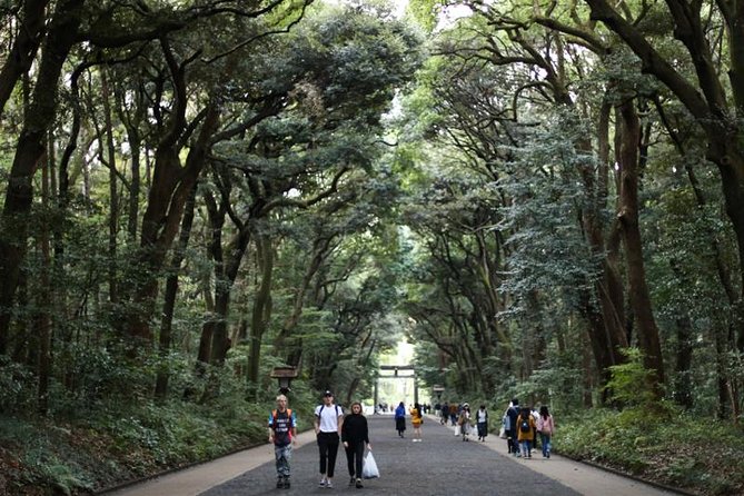 Japan Autumn & Winter Illuminations Discovery Tour (12 Days) - Daily Itinerary