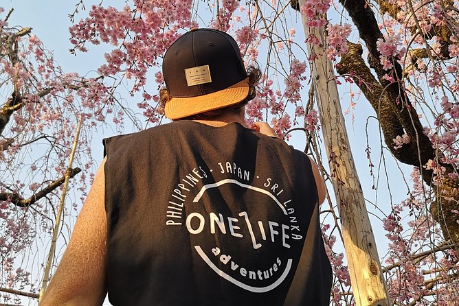 Japan Classic 10 Day - One Life Adventures - Navigating the Efficient Transportation System
