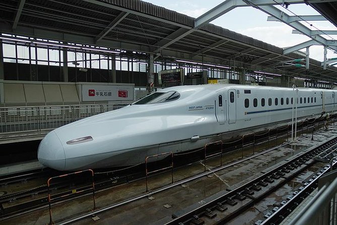 Japan Railway Station Shared Arrival Transfer : Shin Osaka Station to Osaka City - Group Size and Participation