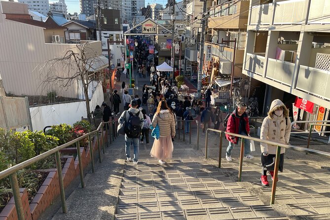 Japanese Dessert & Sake Pairing & Retro Tokyo Walk W/ Local Guide - Experience the Dessert and Sake Pairing