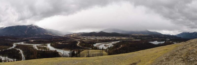 Jasper: Guided Wildfire Hike with Lunch - An In-Depth Look at the Wildfire Hike in Jasper