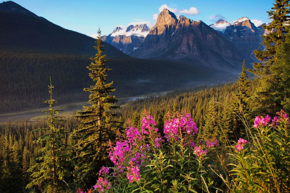Jasper: Icefields Parkway Self-Guided Driving Audio Tour - Stunning Landscapes