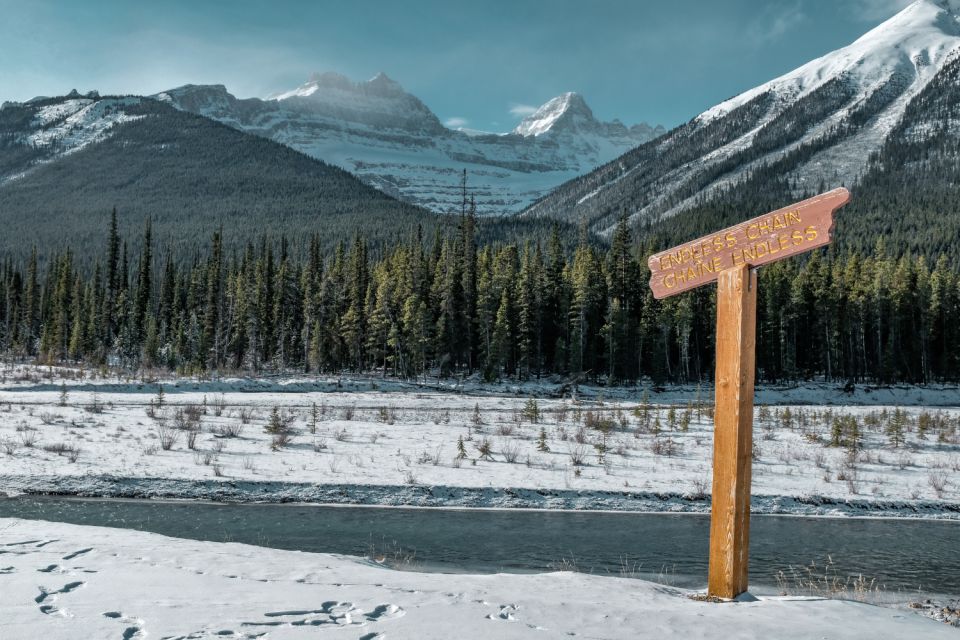 Jasper: Icefields Parkway Self-Guided Driving Audio Tour - Wildlife Encounters