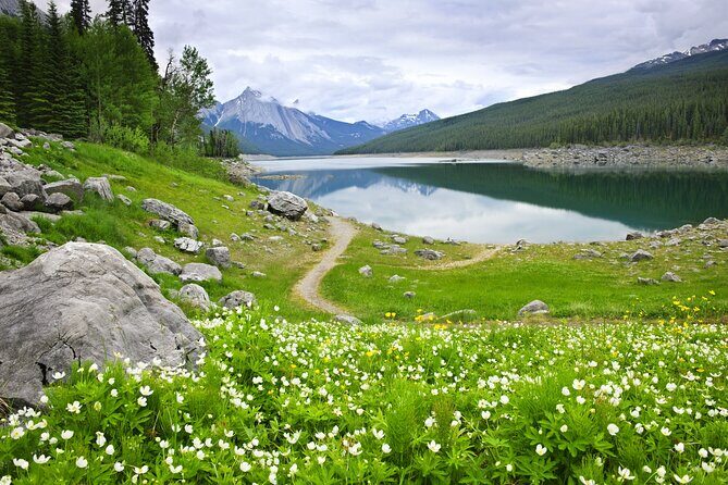 Jasper National Park Self-Guided Driving Audio Tour - An In-Depth Look at the Tour Experience