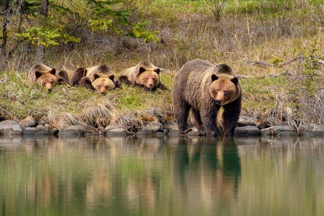 Jasper National Park Tour Maligne Valley, Medicine Lake with Walk - FAQ