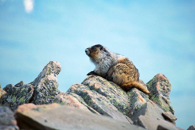 Jasper SkyTram - FAQ