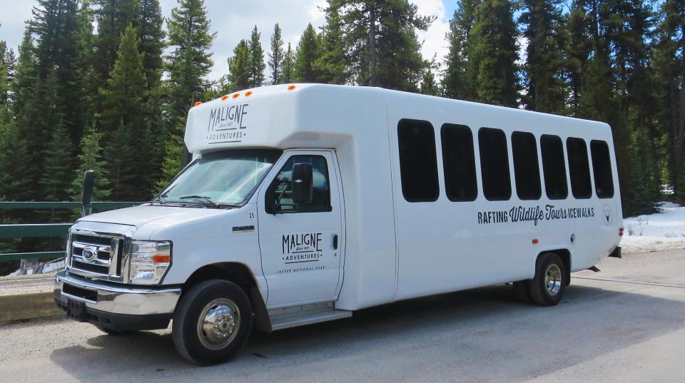 Jasper: Wildlife and Waterfalls Tour With Lakeshore Hike - Difficulty and Preparation