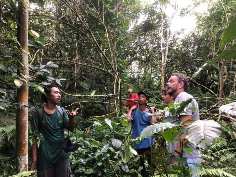 jatiluwih : highlights trekking best bali nature & cultural - Key Points