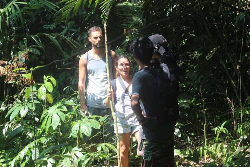 jatiluwih : highlights trekking best bali nature & cultural - An In-Depth Look at the Jatiluwih Trek Experience