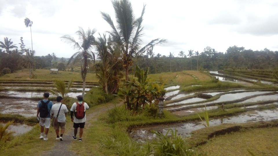 Jatiluwih Off-The-Beaten Path Trekking With Lunch - Booking Information and Options