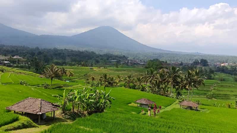 Jatiluwih Rice Fields Walking Tour and Natural Hot Spring - Good To Know