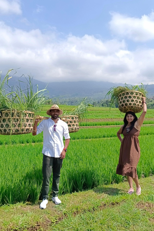 Jatiluwih Rice Fields Walking Tour and Natural Hot Spring - Inclusions