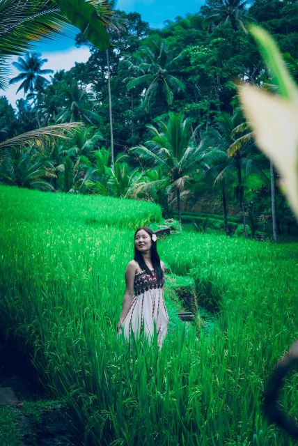 Jatiluwih Rice Terrace Mongky Forest and Baliswing West Tour - Exploring Mongky Forest