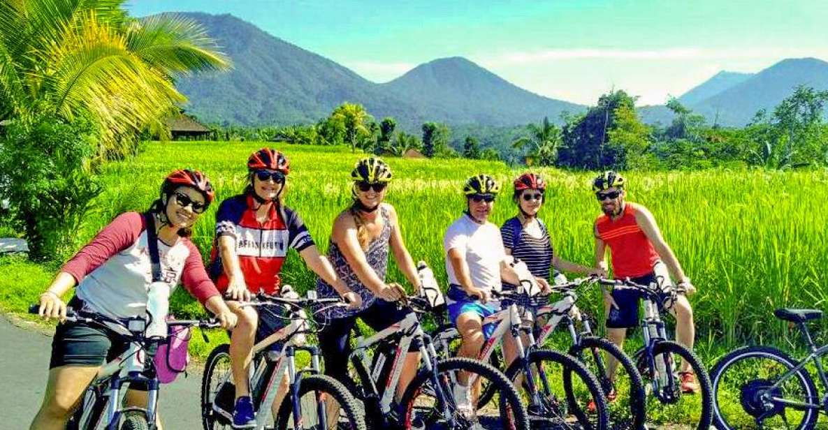 Jatiluwih (UNESCO Site) 2-Hour E-Bike Cycling Tour - E-Bike Cycling Experience