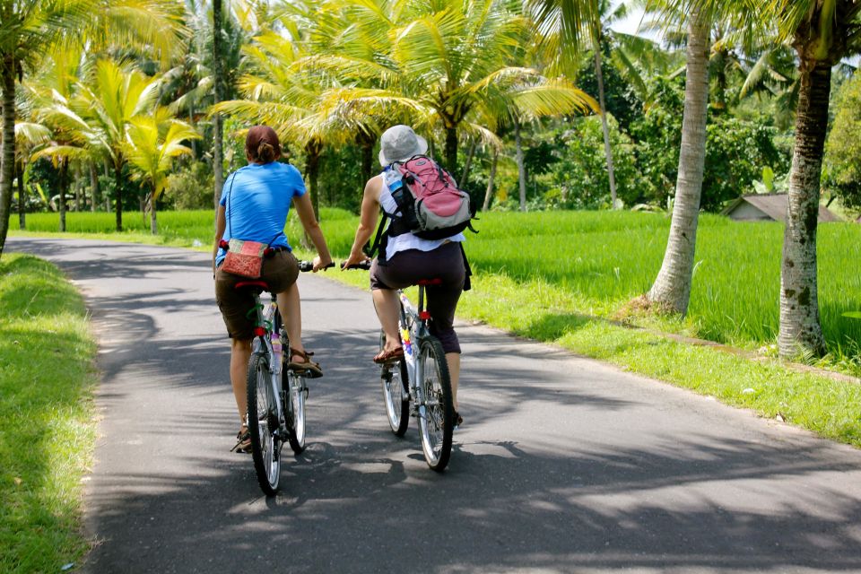 Jatiluwih (UNESCO Site) 2-Hour E-Bike Cycling Tour - Included in the Tour