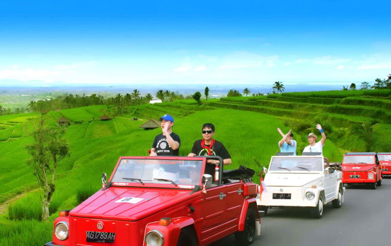 Jatiluwih VW Safari Bali Tour - Good To Know