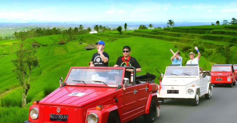 Jatiluwih VW Safari Bali Tour - Itinerary Highlights