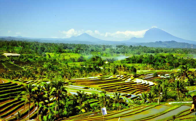 Jatiluwih VW Safari Bali Tour - Frequently Asked Questions